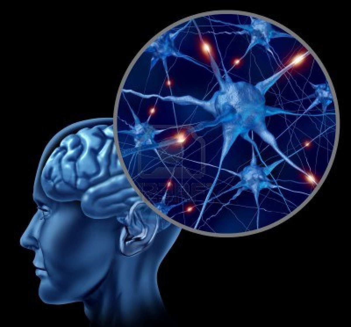 El Cerebro Triádico en el Salón de Clase. El Cerebro Triádico en el Salón de Clase.