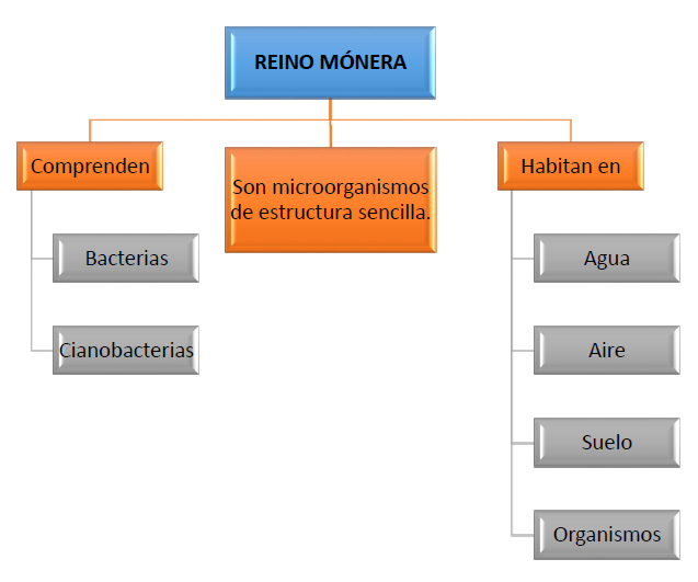 El reino mónera El reino mónera